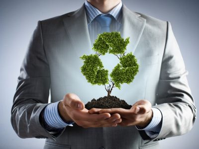 Tree in palms as a symbol of recycling and nature protection